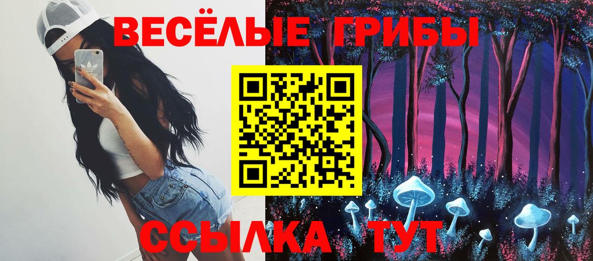 Псилоцибиновые грибы GOLDEN TEACHER  Псилоцибиновые грибы Psilocybe  Камышин  Вход с VPN 